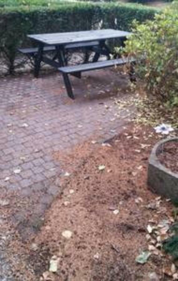 Appartement De Groote Peel Nederweert Luaran gambar